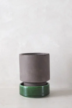 Terrakotta-Krukker|Hoff Krukke Serien^PLANT Hoff krukke, raw grey + grøn underskål