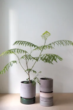 Terrakotta-Krukker|Hoff Krukke Serien^PLANT Hoff krukke, raw grey + grøn underskål