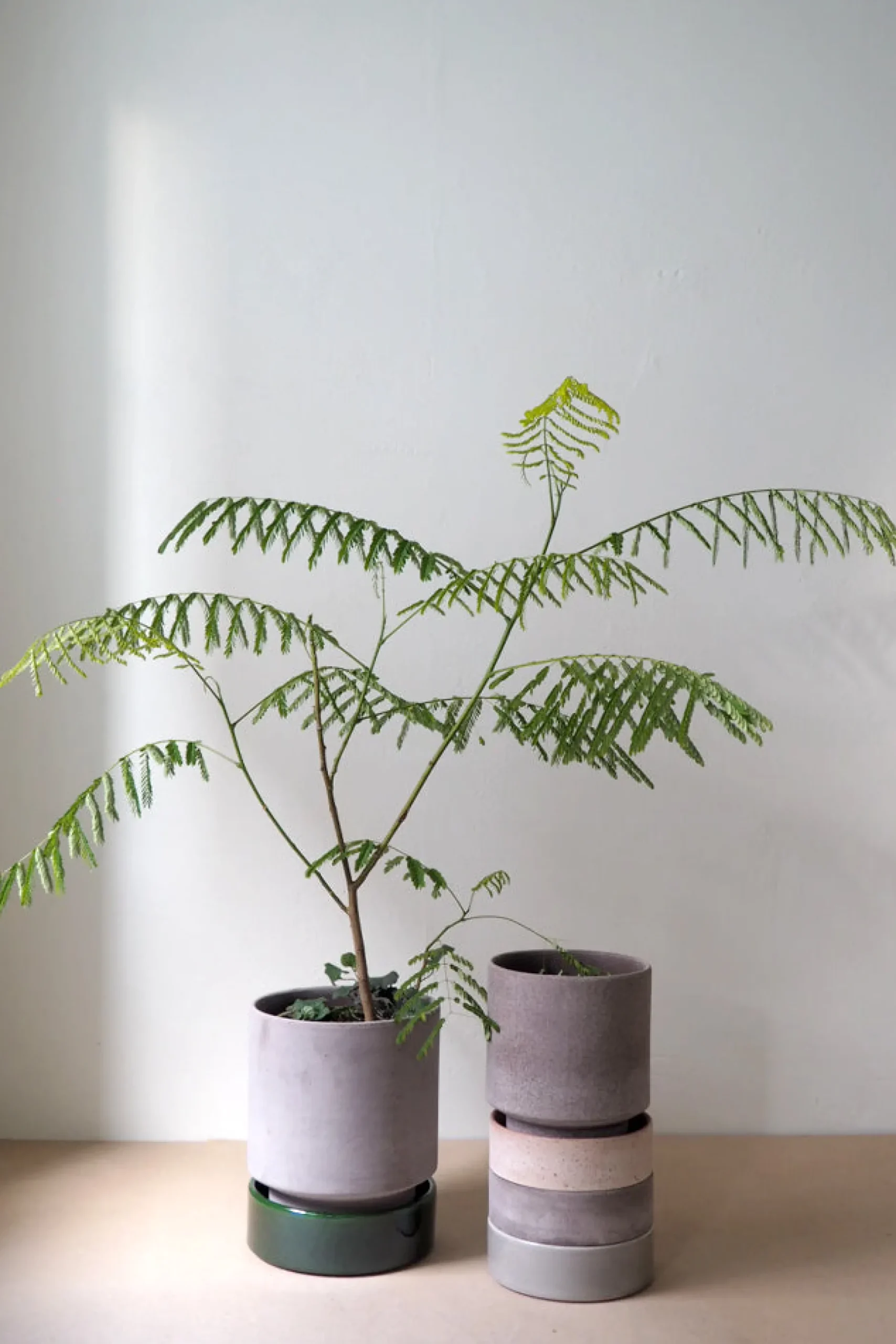 Terrakotta-Krukker|Hoff Krukke Serien^PLANT Hoff krukke, raw grey + grøn underskål