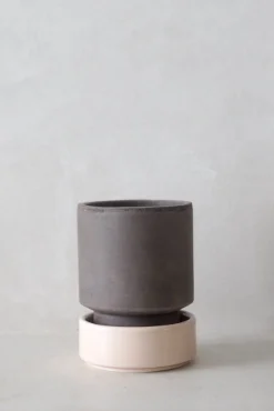 Terrakotta-Krukker|Hoff Krukke Serien^PLANT Hoff krukke, raw grey + rosa underskål