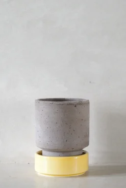 Terrakotta-Krukker|Hoff Krukke Serien^PLANT Hoff krukke, raw grey + Yellow underskål