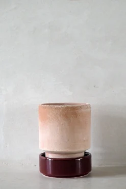 Terrakotta-Krukker|Hoff Krukke Serien^PLANT Hoff krukke, raw rosa + Burgundy underskål