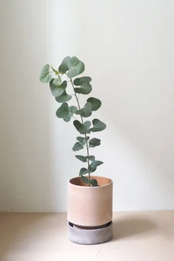 Terrakotta-Krukker|Stor^PLANT Hoff krukke, raw rosa + raw grey underskål, gulvkrukke