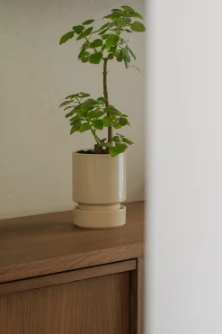 Terrakotta-Krukker|Hoff Krukke Serien^PLANT Hoff krukke, Sandstone