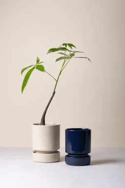 Terrakotta-Krukker|Hoff Krukke Serien^PLANT Hoff krukke, Sandstone