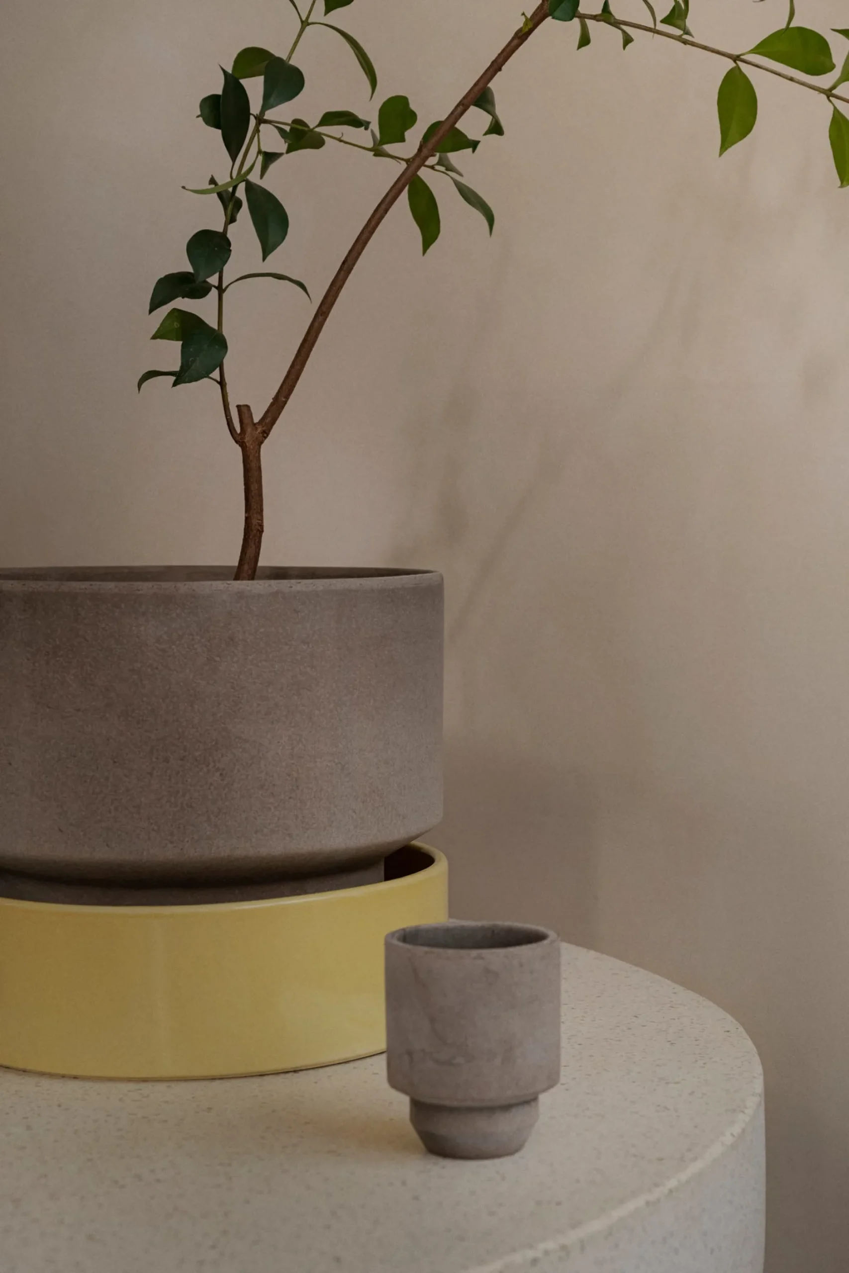 Underskåle|Hoff Krukke Serien^PLANT Hoff underskål, glaseret Pale Yellow