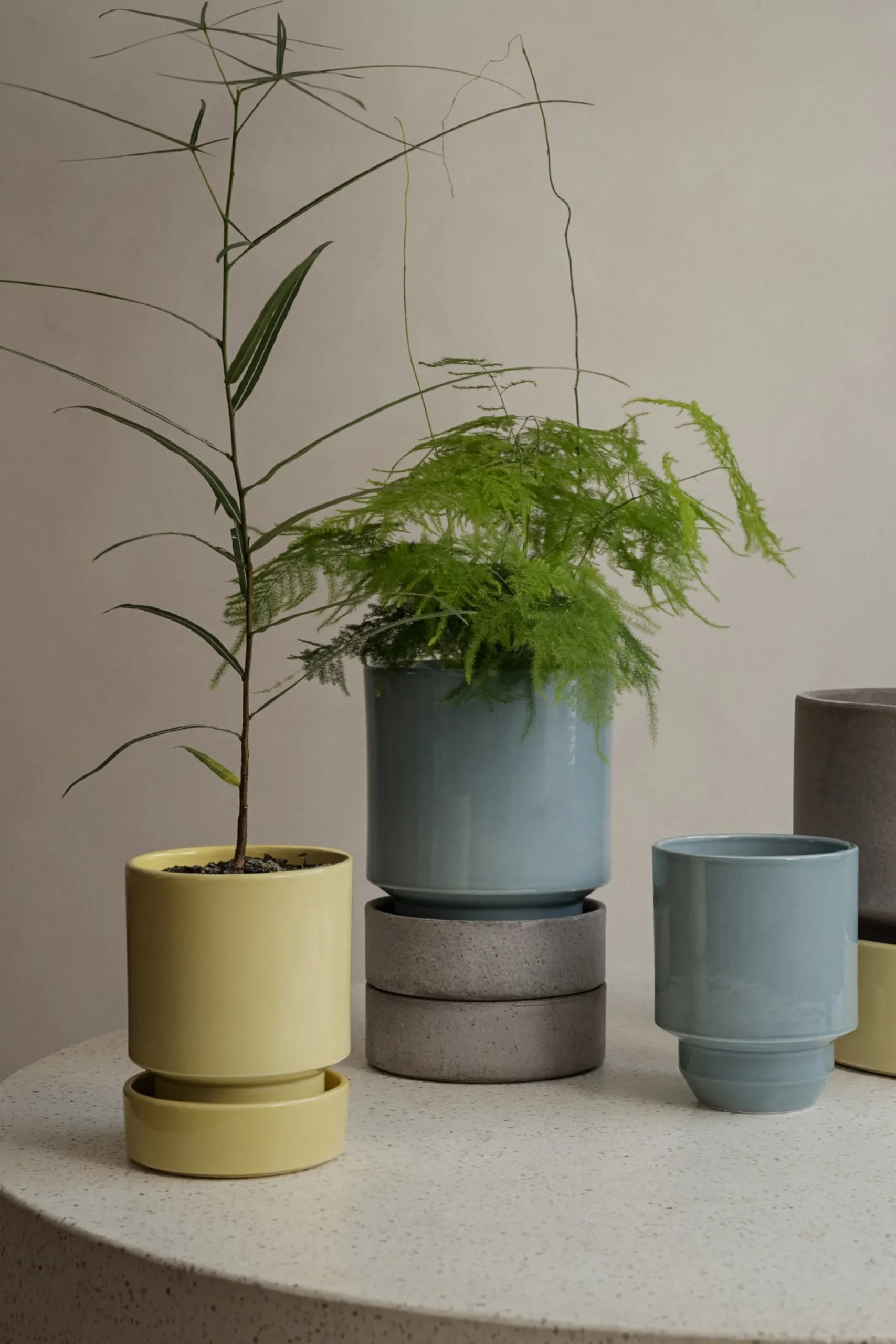 Underskåle|Hoff Krukke Serien^PLANT Hoff underskål, glaseret Pale Yellow