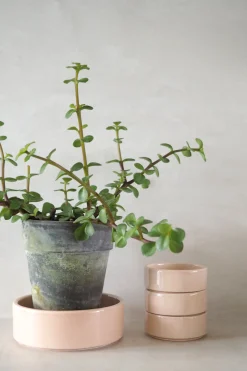 Underskåle|Hoff Krukke Serien^PLANT Hoff underskål, glaseret rosa