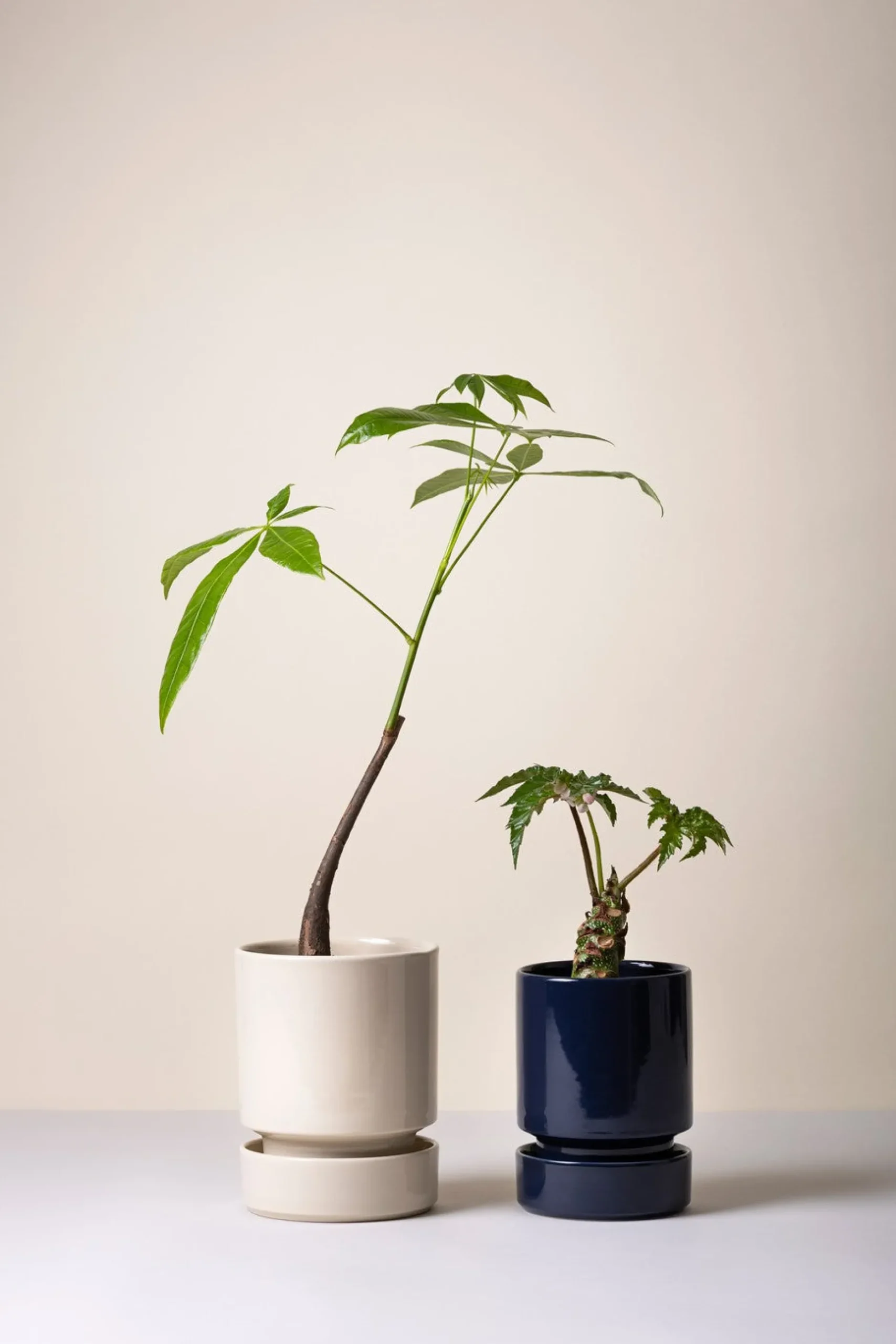 Underskåle|Hoff Krukke Serien^PLANT Hoff underskål, glaseret Sandstone