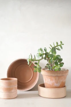 Underskåle|Hoff Krukke Serien^PLANT Hoff underskål, raw rosa