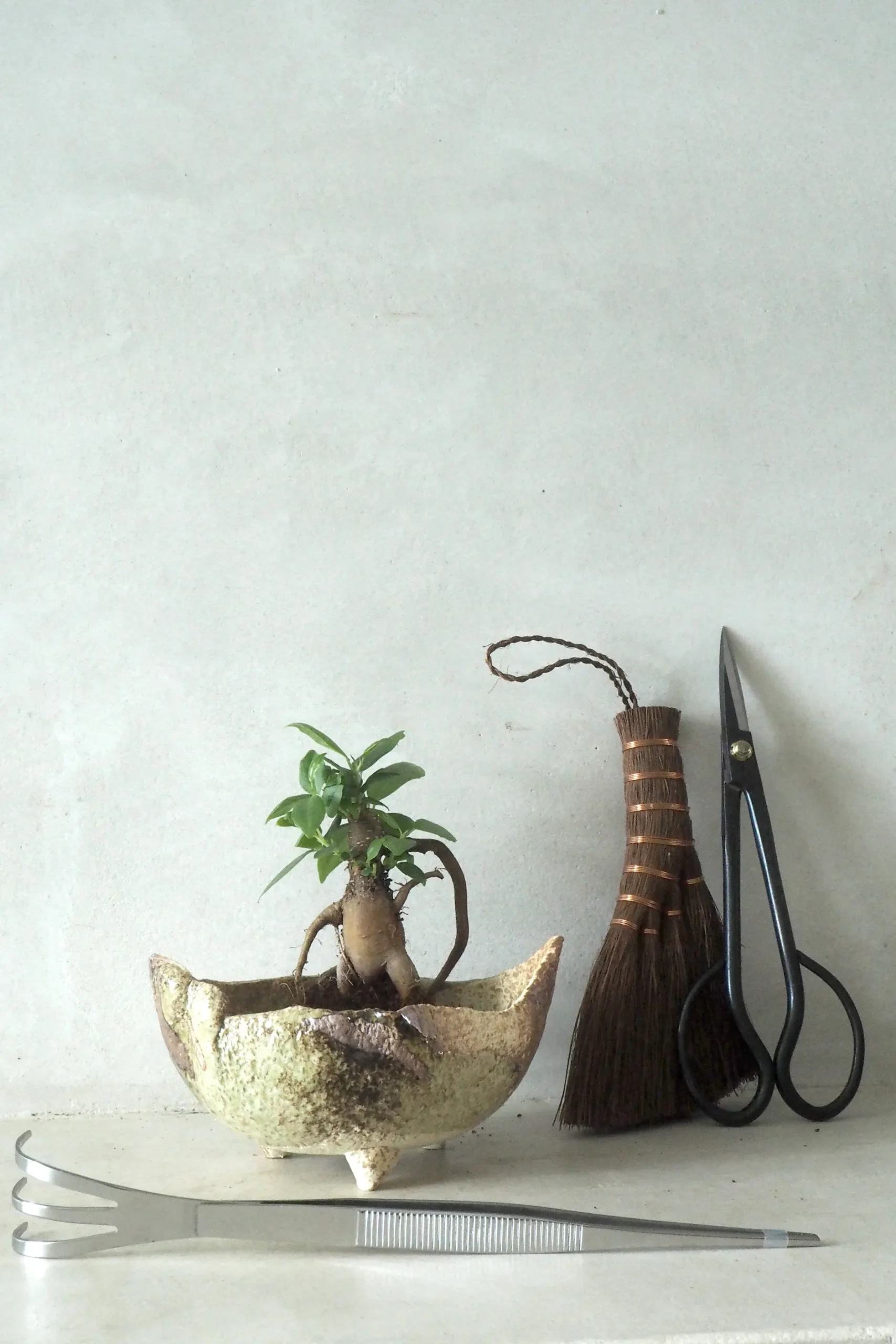 Værktøj Og Redskaber|Bonsai^PLANT Japansk bonsai krukke, håndlavet, brun