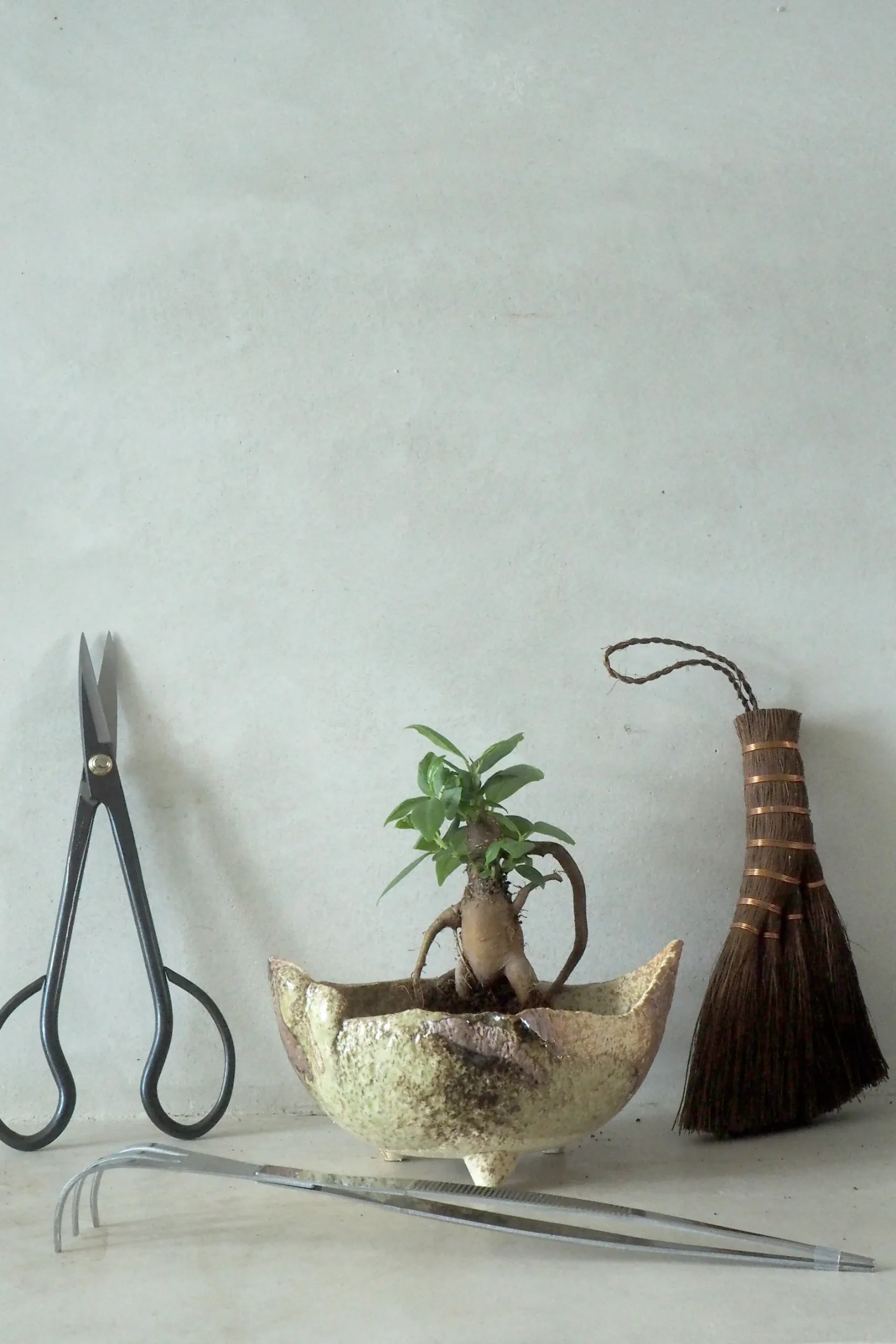 Værktøj Og Redskaber|Bonsai^PLANT Japansk bonsai krukke, håndlavet, brun