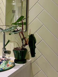 Mellem|Lille^PLANT Julie - Emerald Green