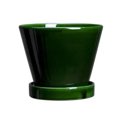 Mellem|Lille^PLANT Julie - Emerald Green