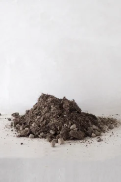 Jord Og Omplantning^PLANT Kaktusjord