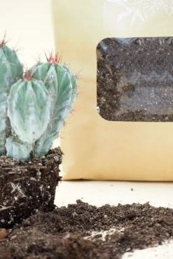 Jord Og Omplantning^PLANT Kaktusjord