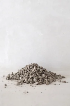 Jord Og Omplantning^PLANT Kaktussten