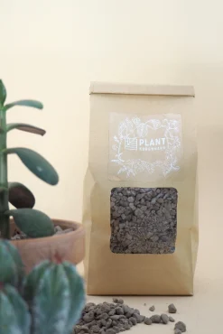 Jord Og Omplantning^PLANT Kaktussten