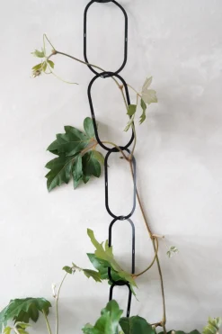 Plantestøtter^PLANT Klatrestøtte, sort