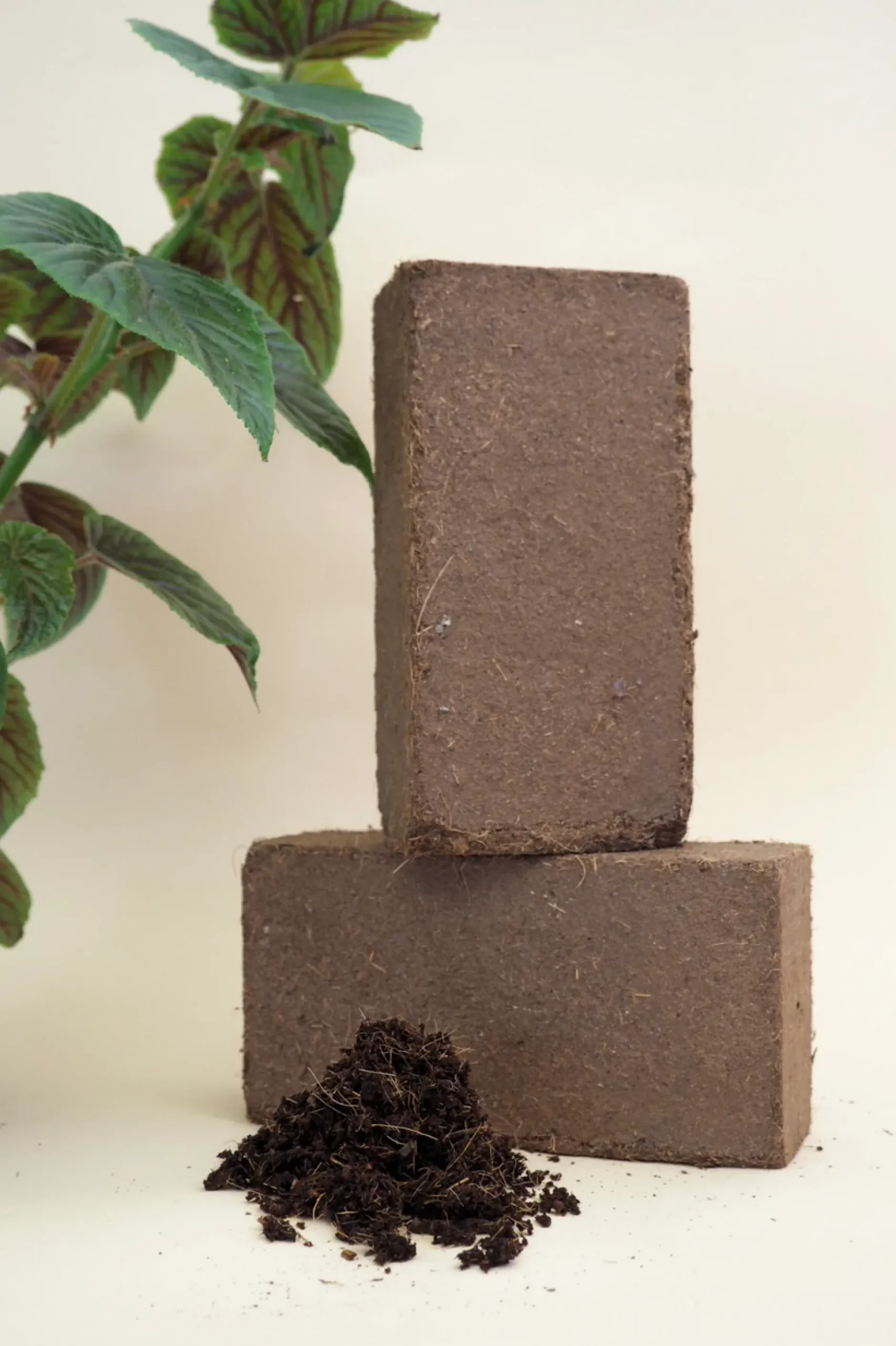 Jord Og Omplantning^PLANT Kokosmuld