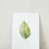 Bøger Og Kort^PLANT Kort - blad no. 3 - 100% genanvendt papir