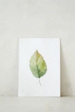 Bøger Og Kort^PLANT Kort - blad no. 3 - 100% genanvendt papir