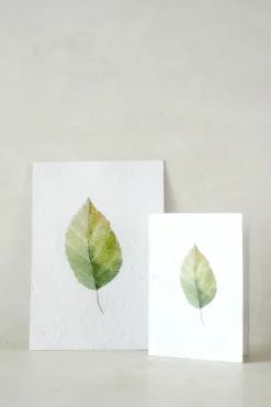 Bøger Og Kort^PLANT Kort - blad no. 3 - 100% genanvendt papir