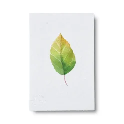 Bøger Og Kort^PLANT Kort - blad no. 3 - 100% genanvendt papir