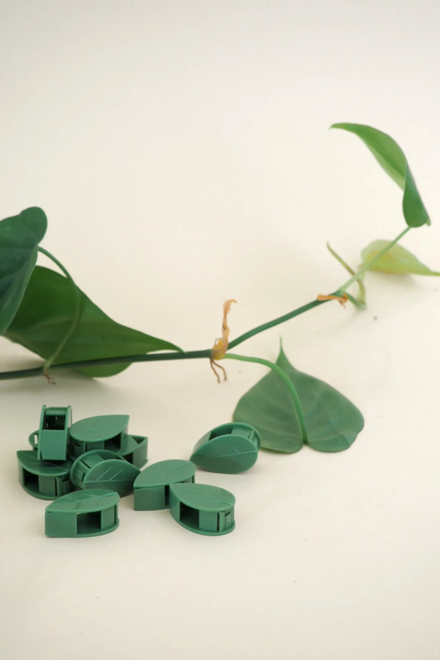 Plantestøtter^PLANT Leafy Clips
