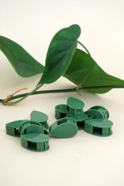 Plantestøtter^PLANT Leafy Clips