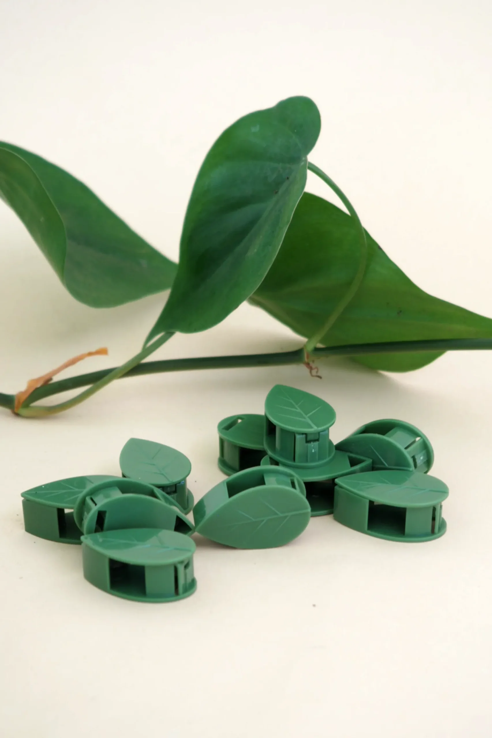 Plantestøtter^PLANT Leafy Clips