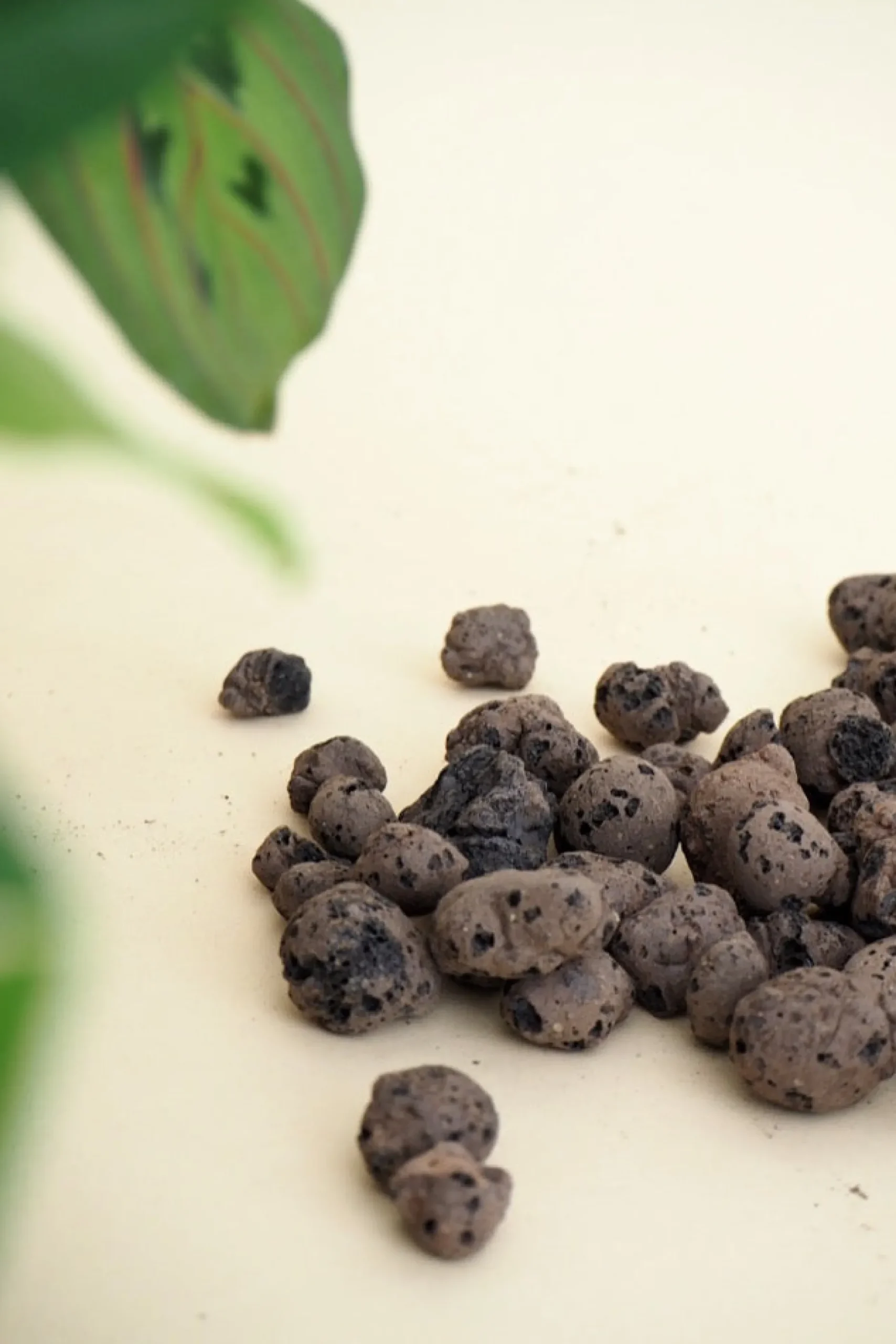Frø, Spiring Og Altanliv|Jord Og Omplantning^PLANT Leca