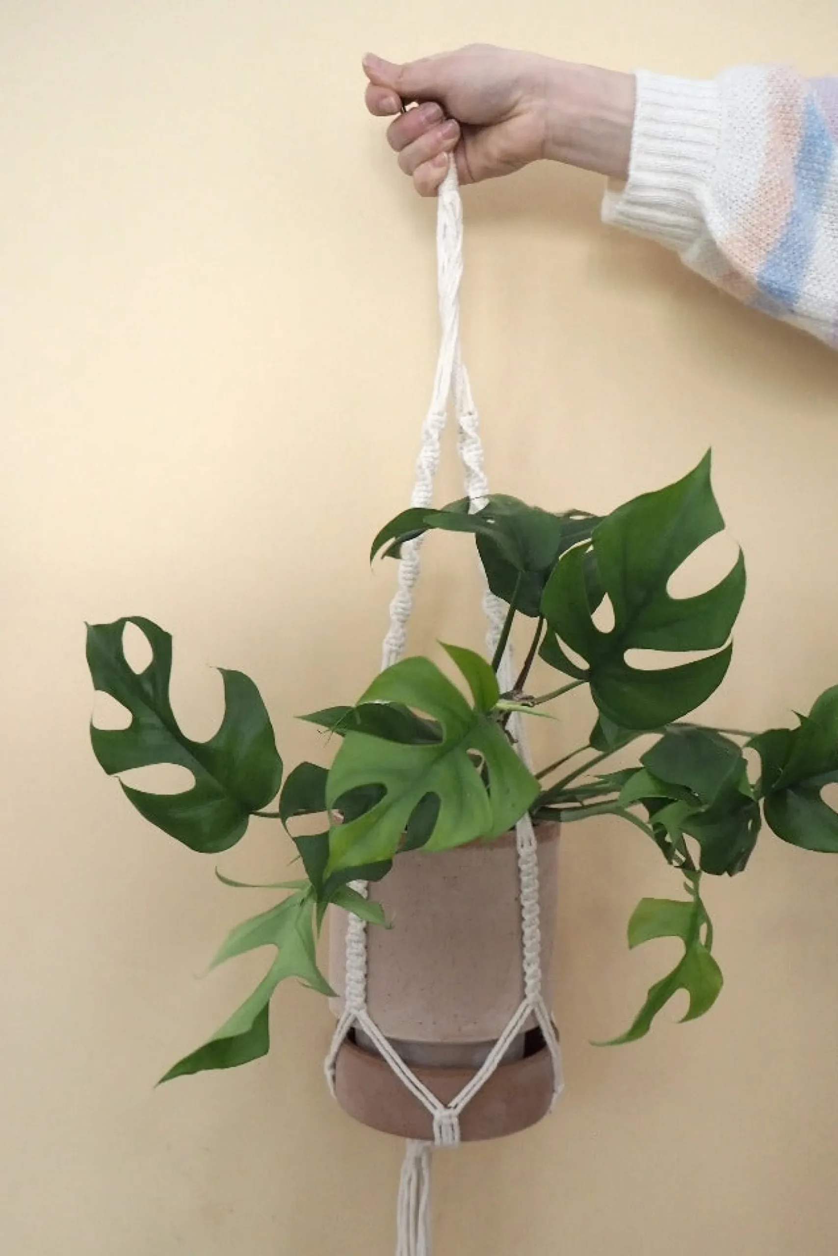 Hængekrukker Og Ophæng^PLANT Macramé eophæng