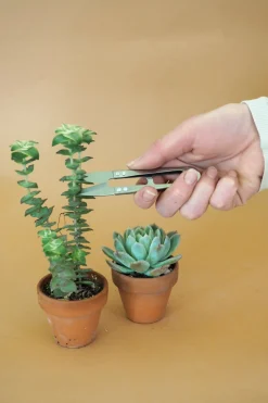 Planter Og Værktøj Til Terrarier|Planter Og Værktøj Til Terrarier^PLANT Mini beskærersaks