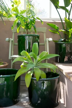 Terrakotta-Krukker|Stor^PLANT Modena gulvkrukke - Emerald Green