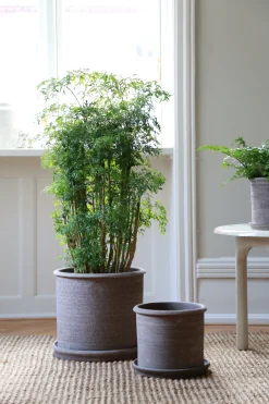 Terrakotta-Krukker|Stor^PLANT Modena gulvkrukke - raw grey