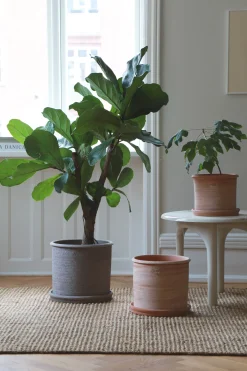 Terrakotta-Krukker|Stor^PLANT Modena gulvkrukke - raw rosa