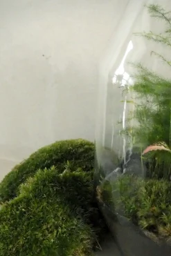 Terrarie Diy Kit|Planter Og Værktøj Til Terrarier^PLANT Mos