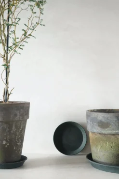 Underskåle^PLANT Mosgrøn underskål