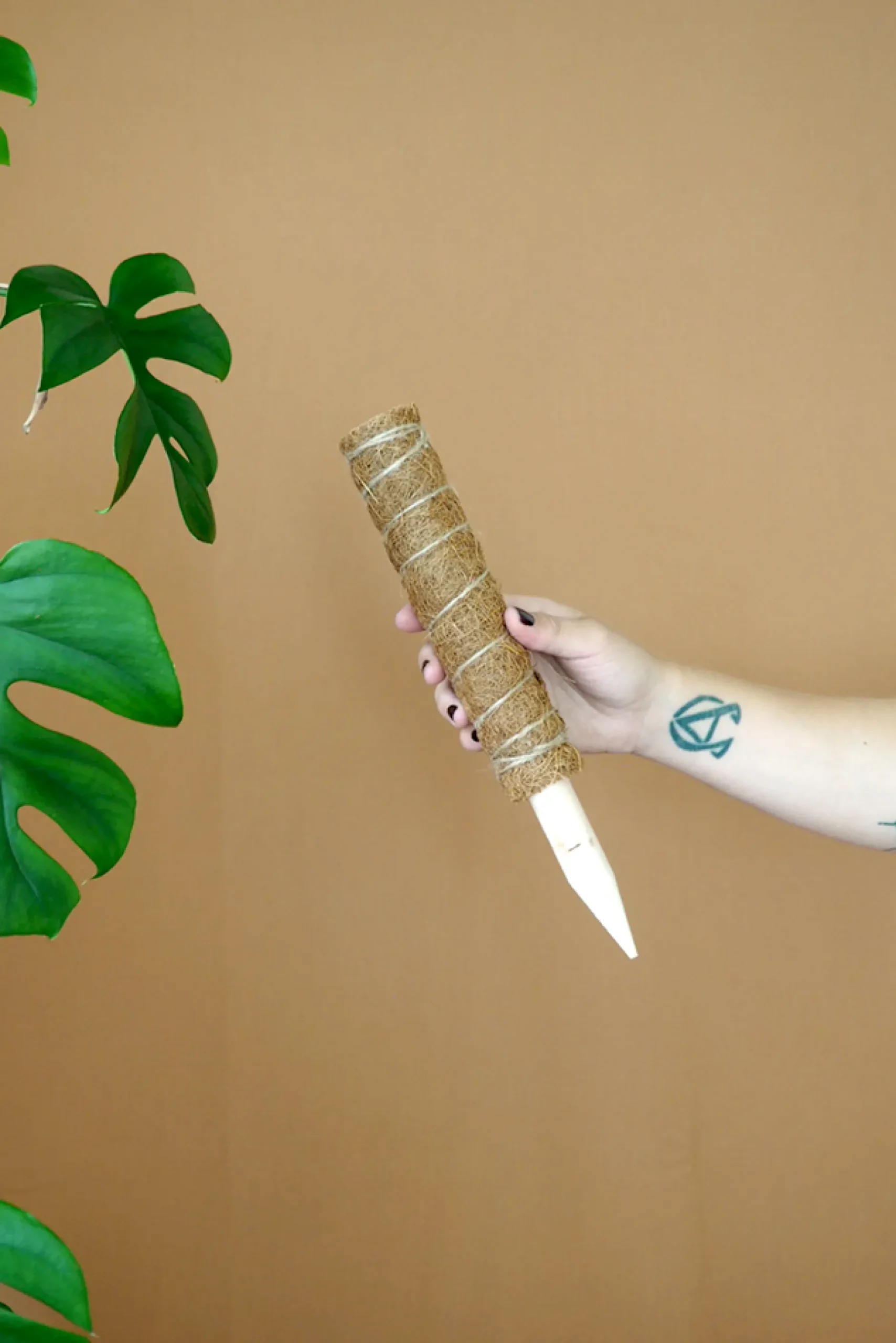 Plantestøtter^PLANT Mosstok