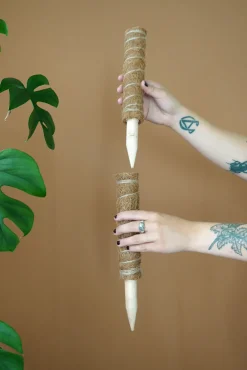 Plantestøtter^PLANT Mosstok
