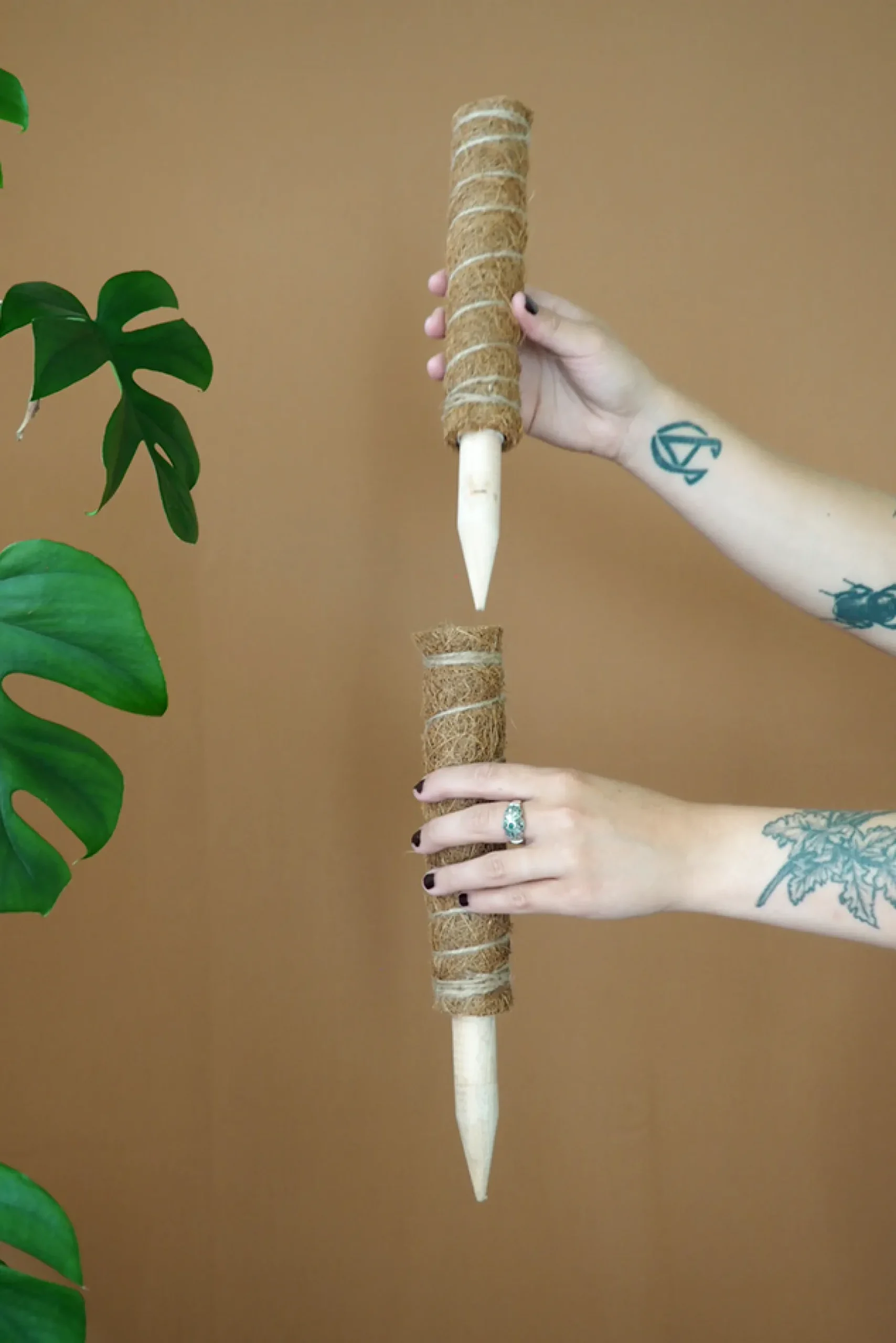 Plantestøtter^PLANT Mosstok