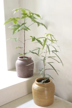 Glaserede Krukker|Mellem^PLANT Nelly krukke - brun