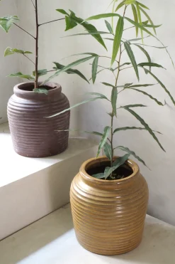 Glaserede Krukker|Mellem^PLANT Nelly krukke - brun