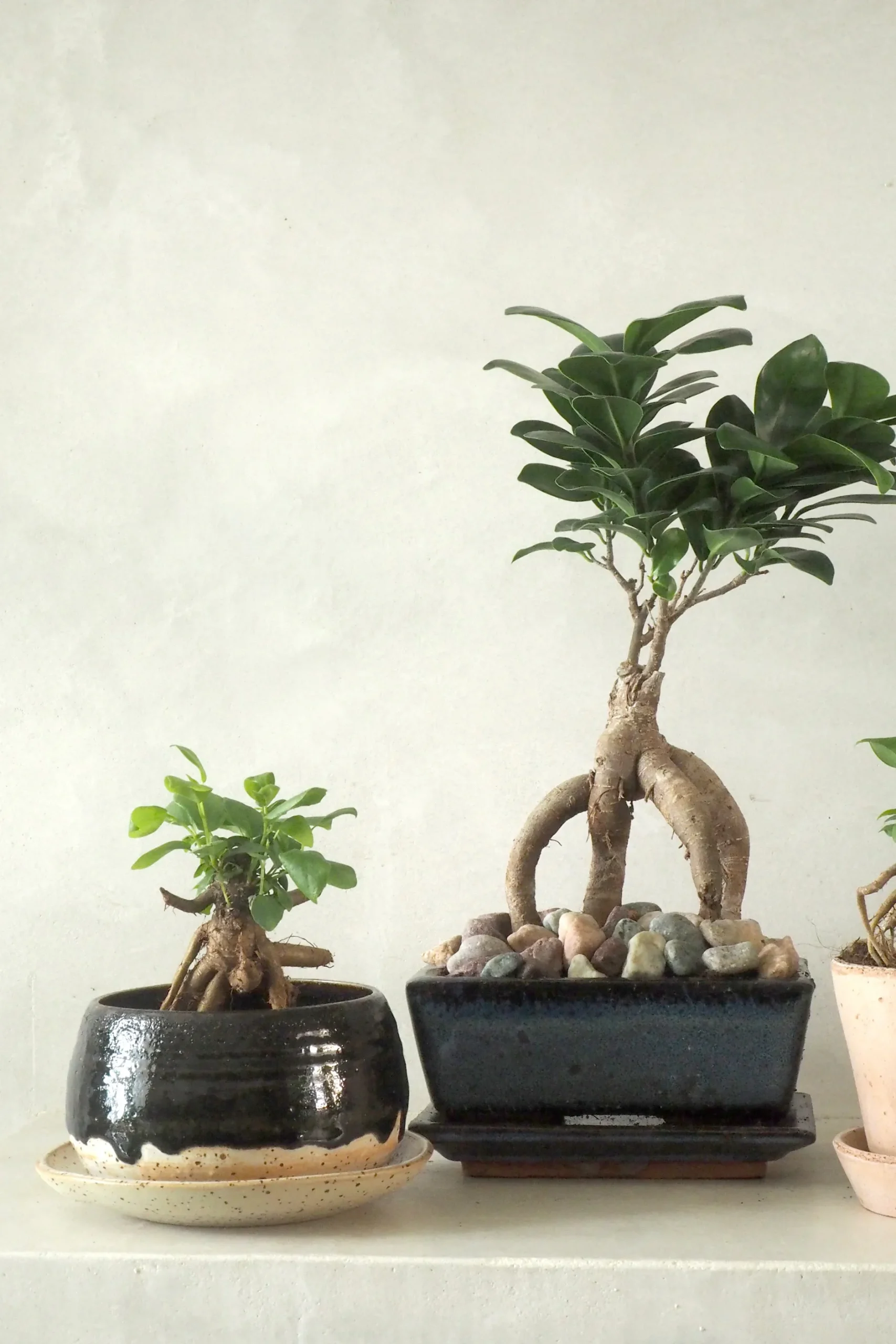 Håndlavede Krukker|Glaserede Krukker^PLANT Nina Frigg medium no. 4