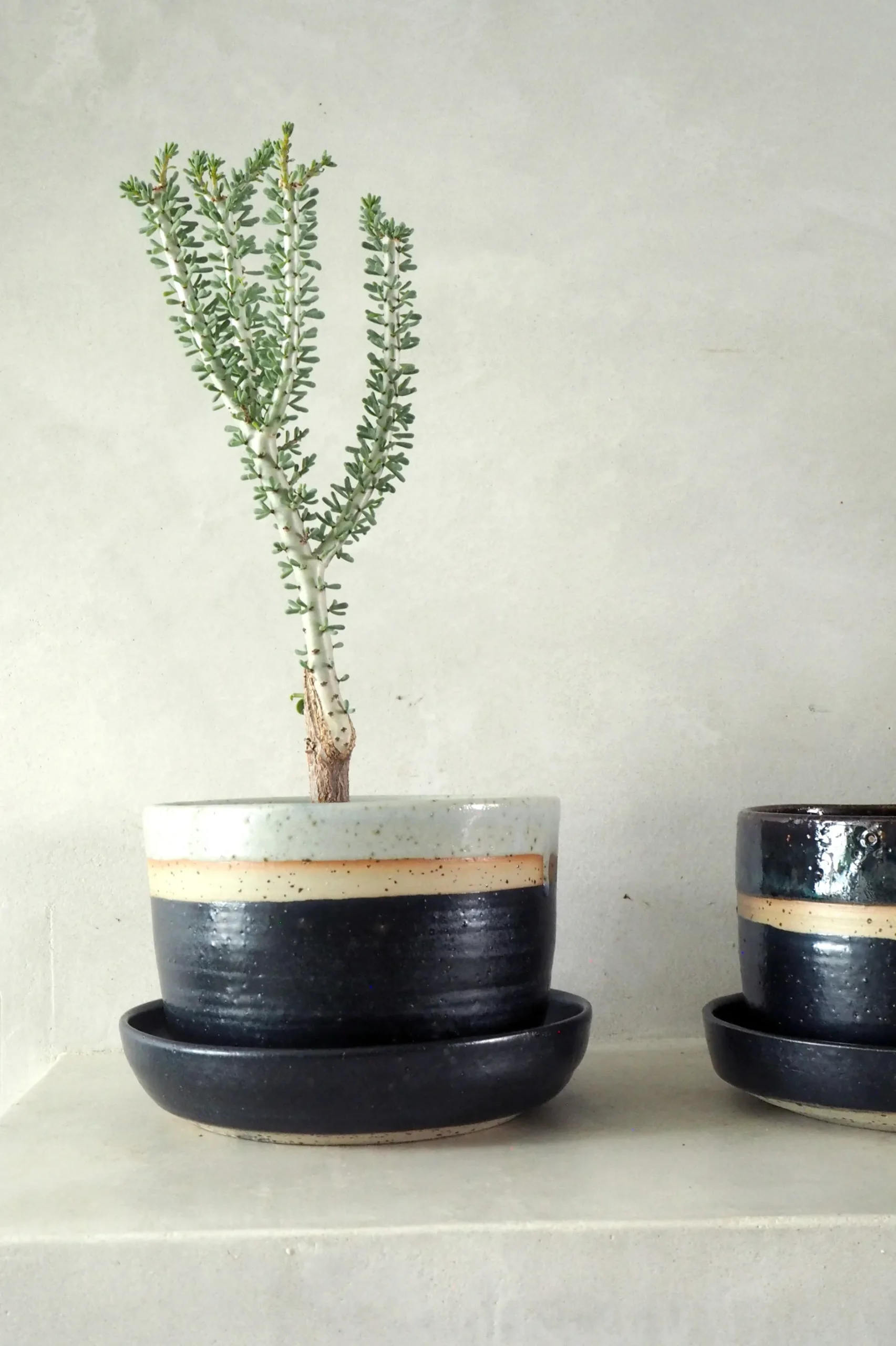 Håndlavede Krukker|Glaserede Krukker^PLANT Nina Frigg stor no. 2