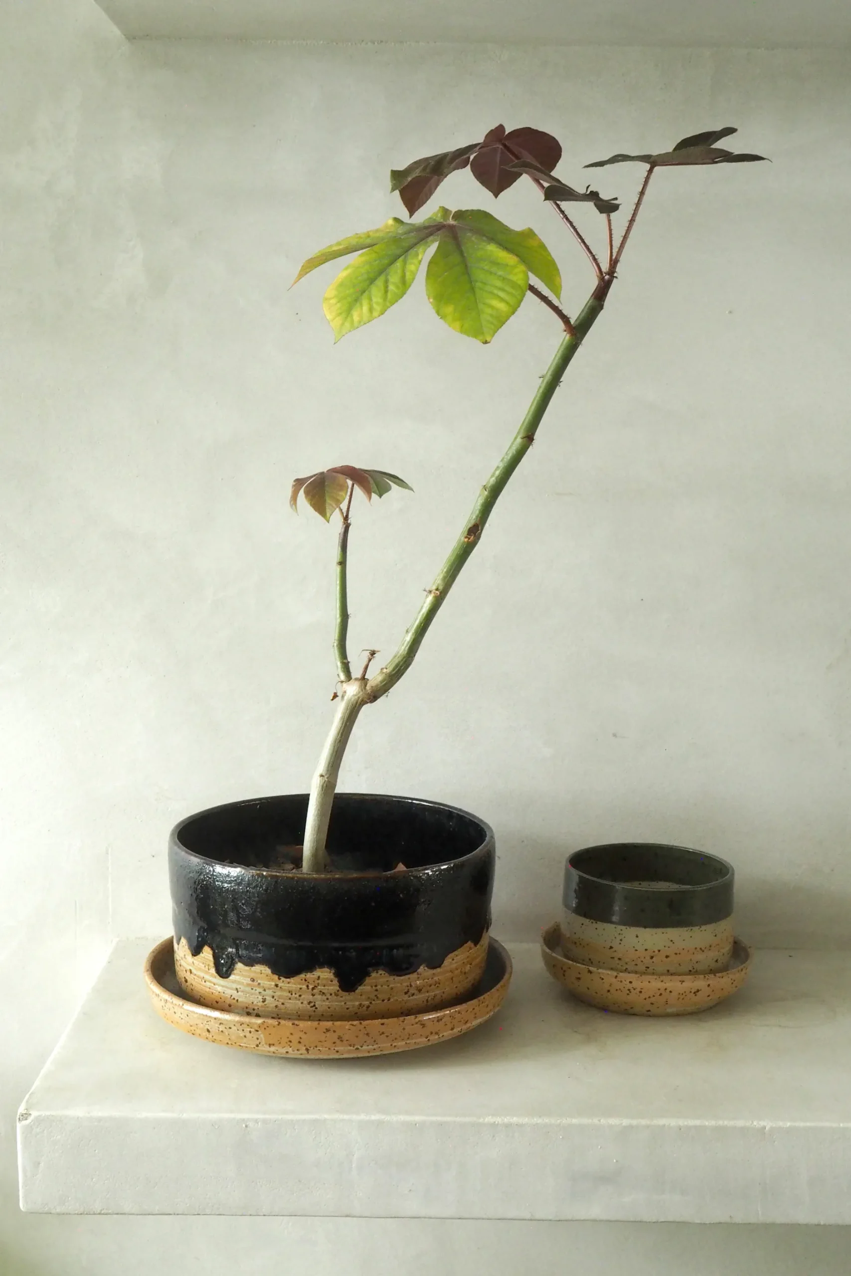 Håndlavede Krukker|Glaserede Krukker^PLANT Nina Frigg xl krukke