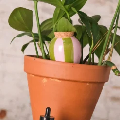 Selvvanding^PLANT Olla selvvander - lilla/grøn