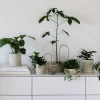 Selvvanding^PLANT Straws, sand