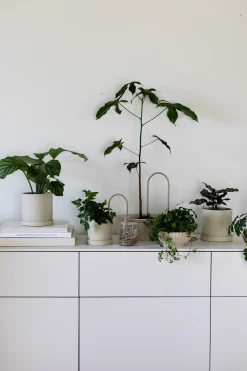 Selvvanding^PLANT Straws, sand